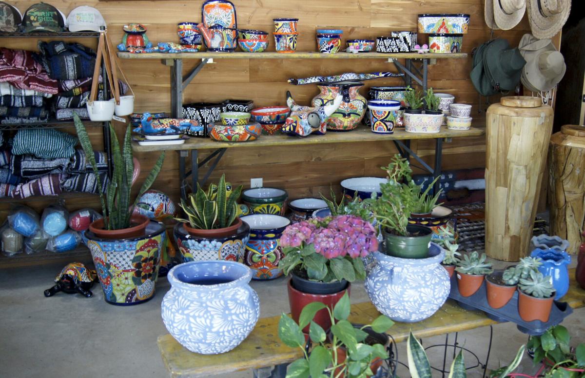 The Plant Shed offers garden center, nursery with a focus on the plants of  East Texas | Charm | lufkindailynews.com