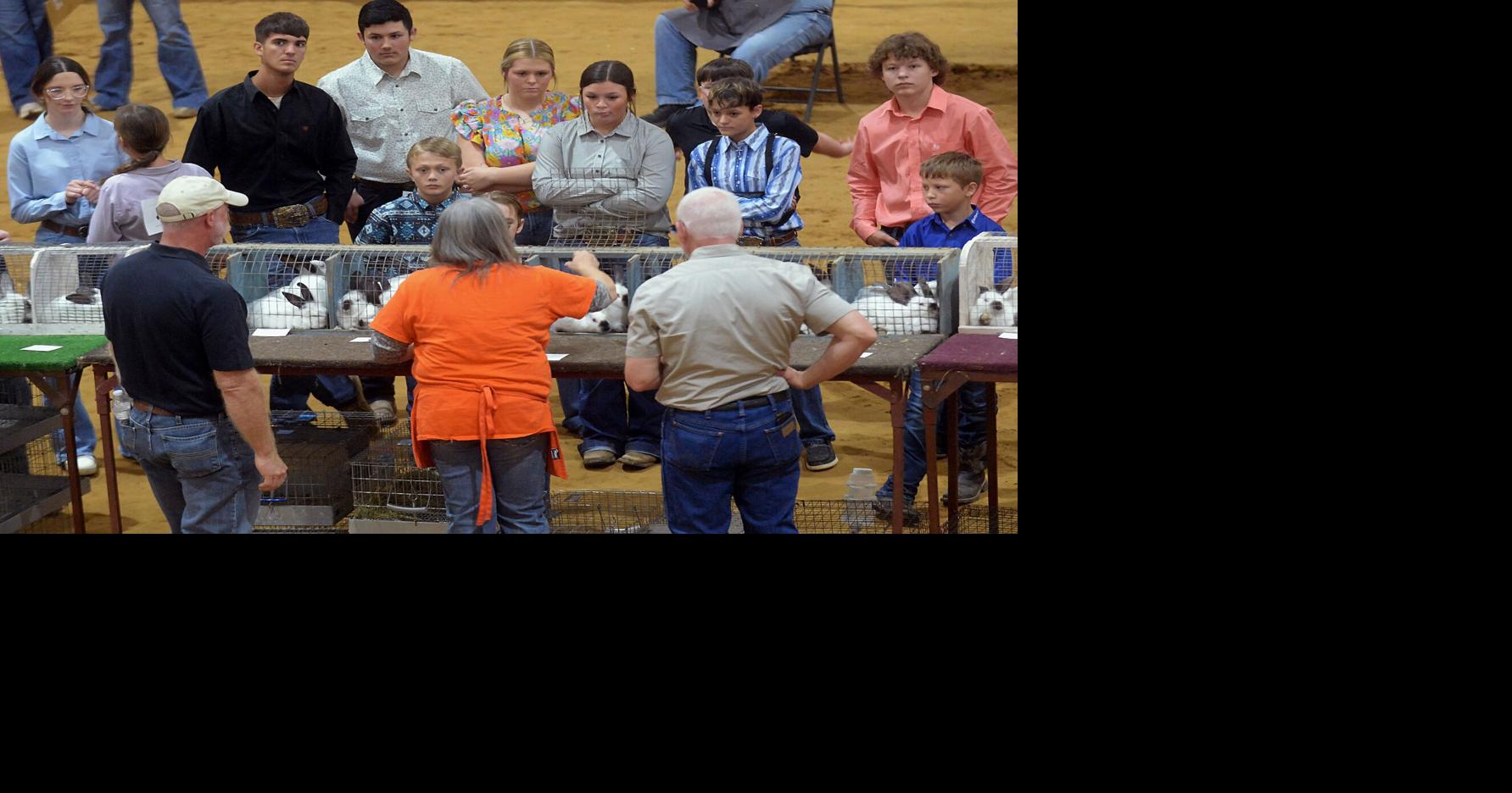 Fondren takes first at breeding rabbit show | Local & State ...