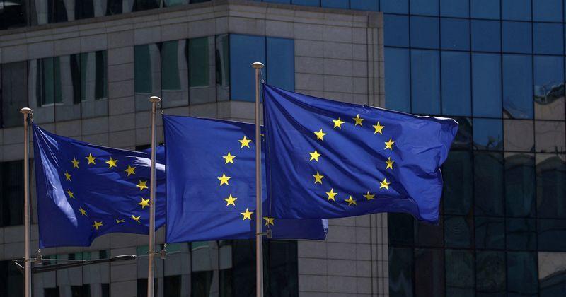 FILE PHOTO: European Union flags flutter in Brussels