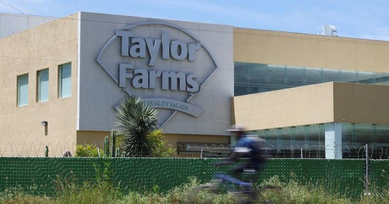 Taylor Farms recalls salsa and guacamole from Walmart, Kroger over salmonella ri...