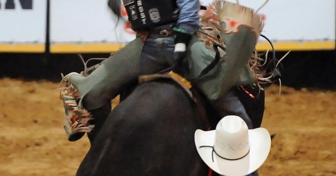 PHOTO COLLECTION: Angelina Benefit Rodeo