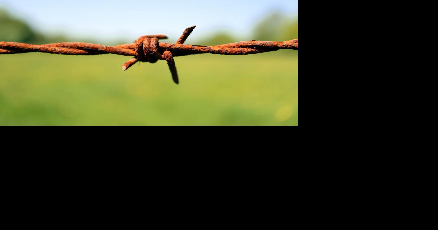 ALL THINGS HISTORICAL: Do fence me in: Barbed wire and the Texas cattle industry By SCOTT SOSEBEE/For The Lufkin Daily News Jul 6, 2026 Jul 6, 2026 Updated 15 mins ago