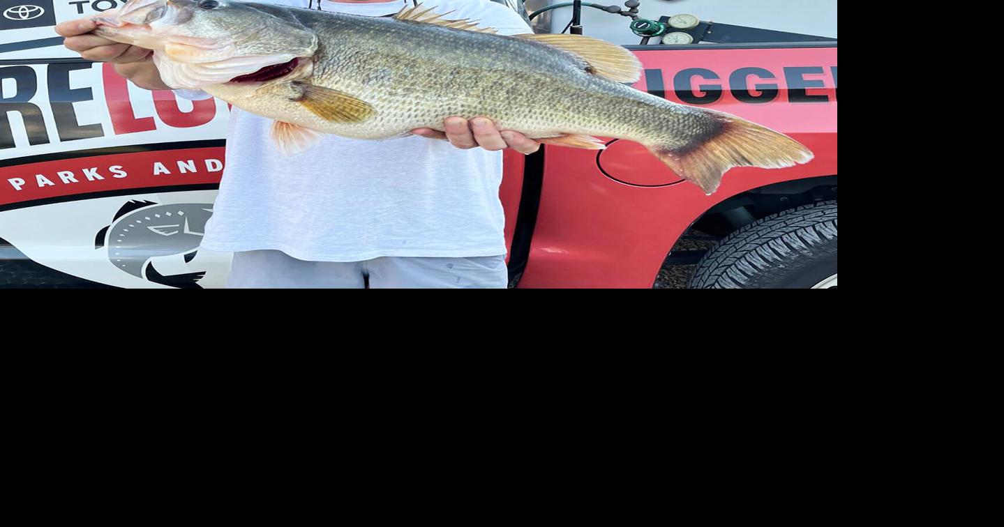 It's a wrap: Toyota ShareLunker collection season ends with 18 entries, tall tales of bass with weight problems