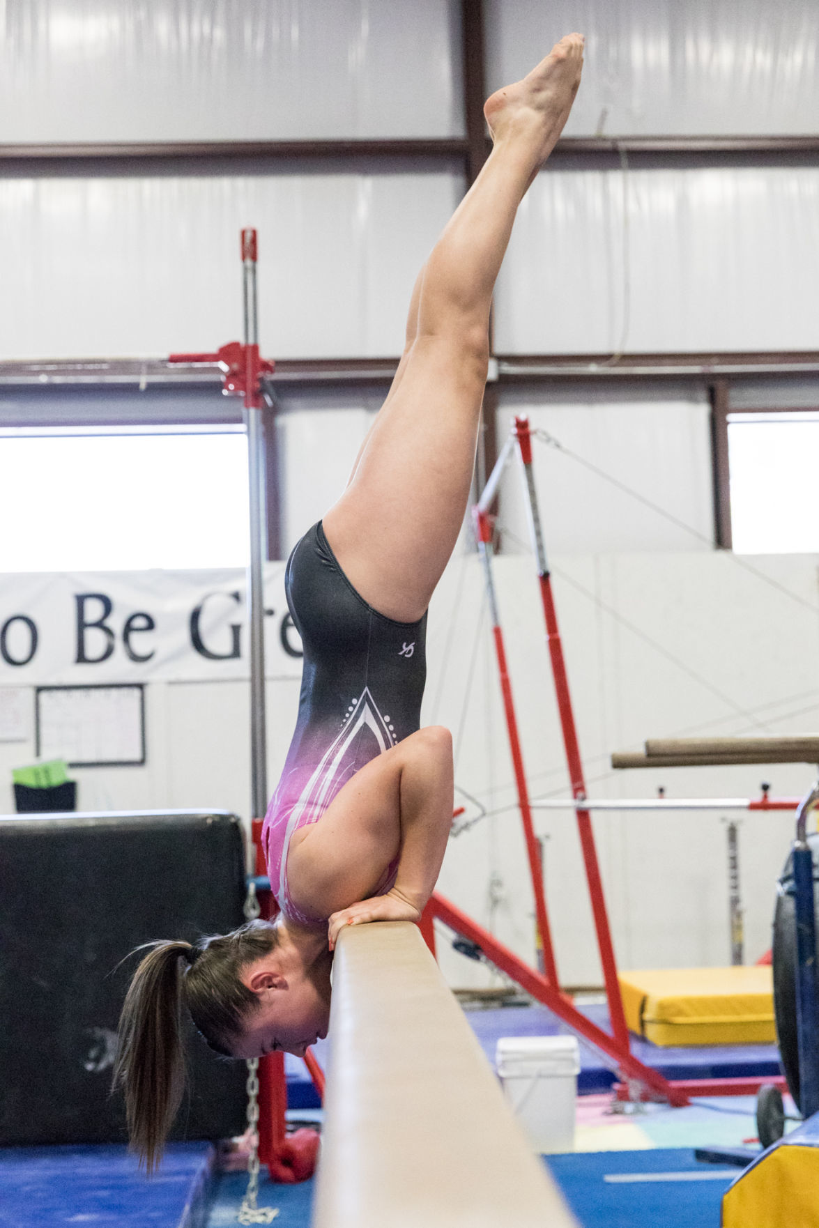 Two Tall Timbers Gymnastics students place in Region III Women's