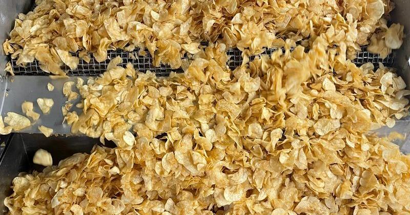 Potato chips exit the fryer at Corell's Potato Chips in Beach City on Saturday April 19.