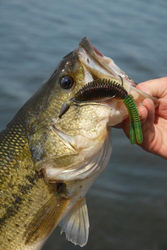6 0 fishing hook diameter 300lb Blue Mono Deep Drop Rig with 5 Hooks for Saltwater