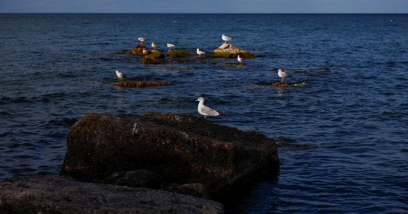 People walk along Lake Ontario shore after Trump orders name change to Lake America
