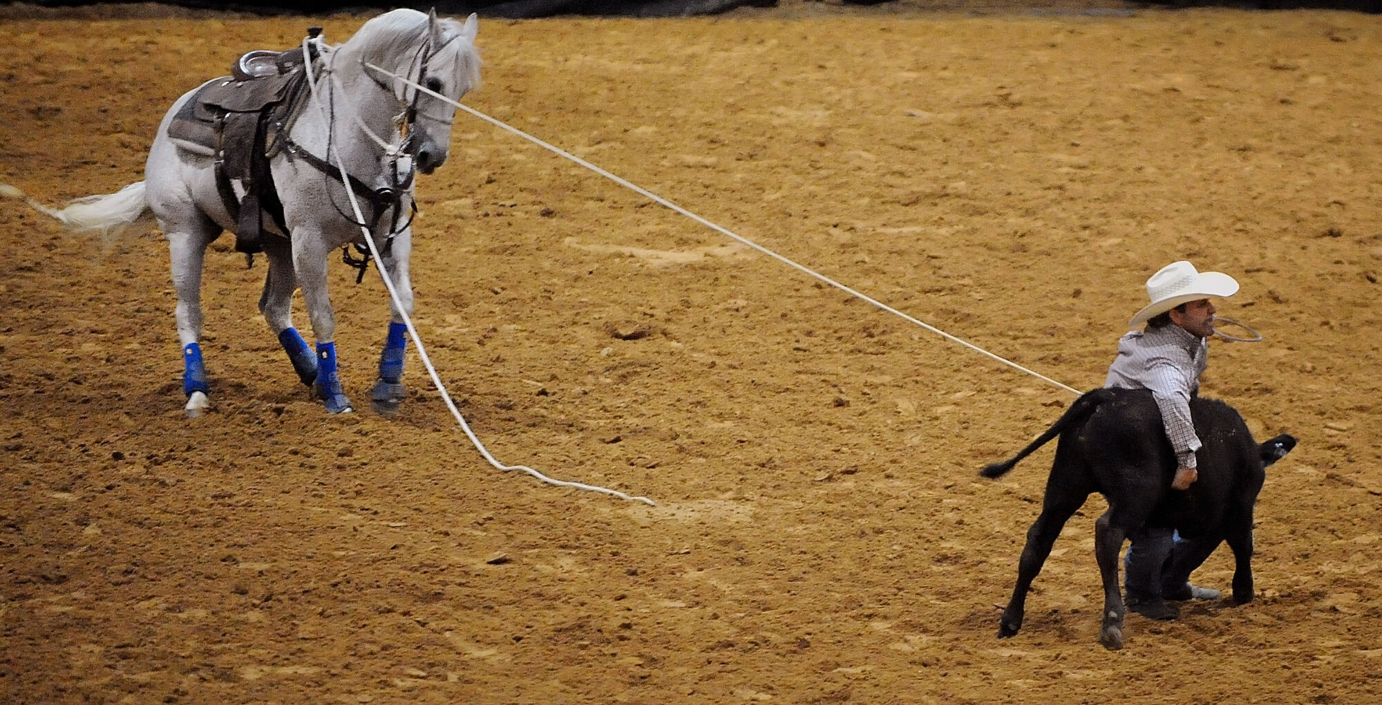 Red Suspender Rodeo PHOTO COLLECTION: Angelina Benefit Rodeo | Community | lufkindailynews.com