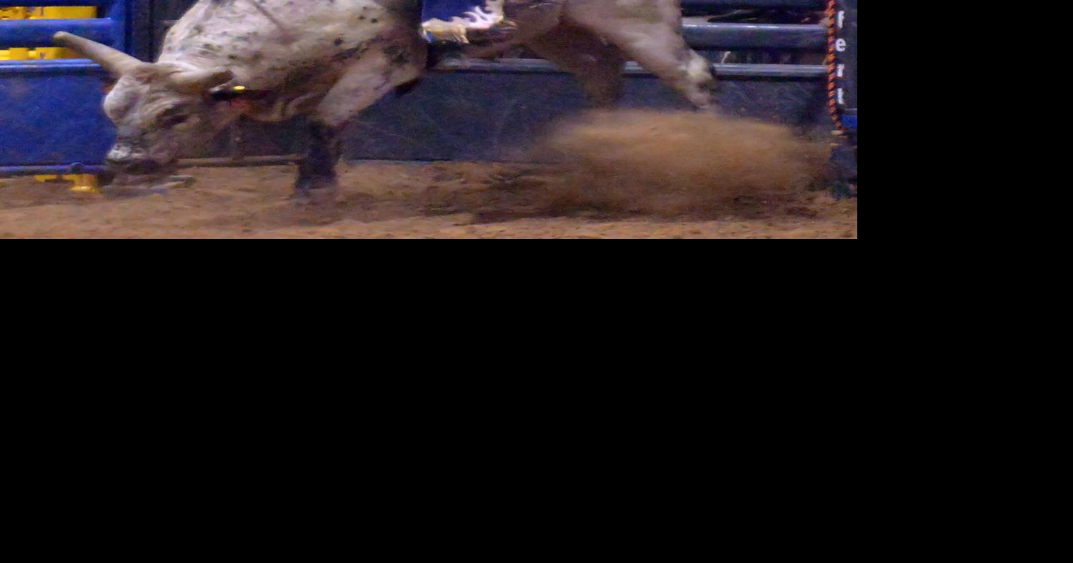 Unbullieveable thrills Bull Bash provides night of riding