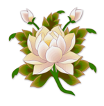 Kadampa Meditation Center Madison