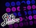 Silk Exotic Madison Gentlemen's Club