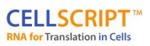 Cellscript