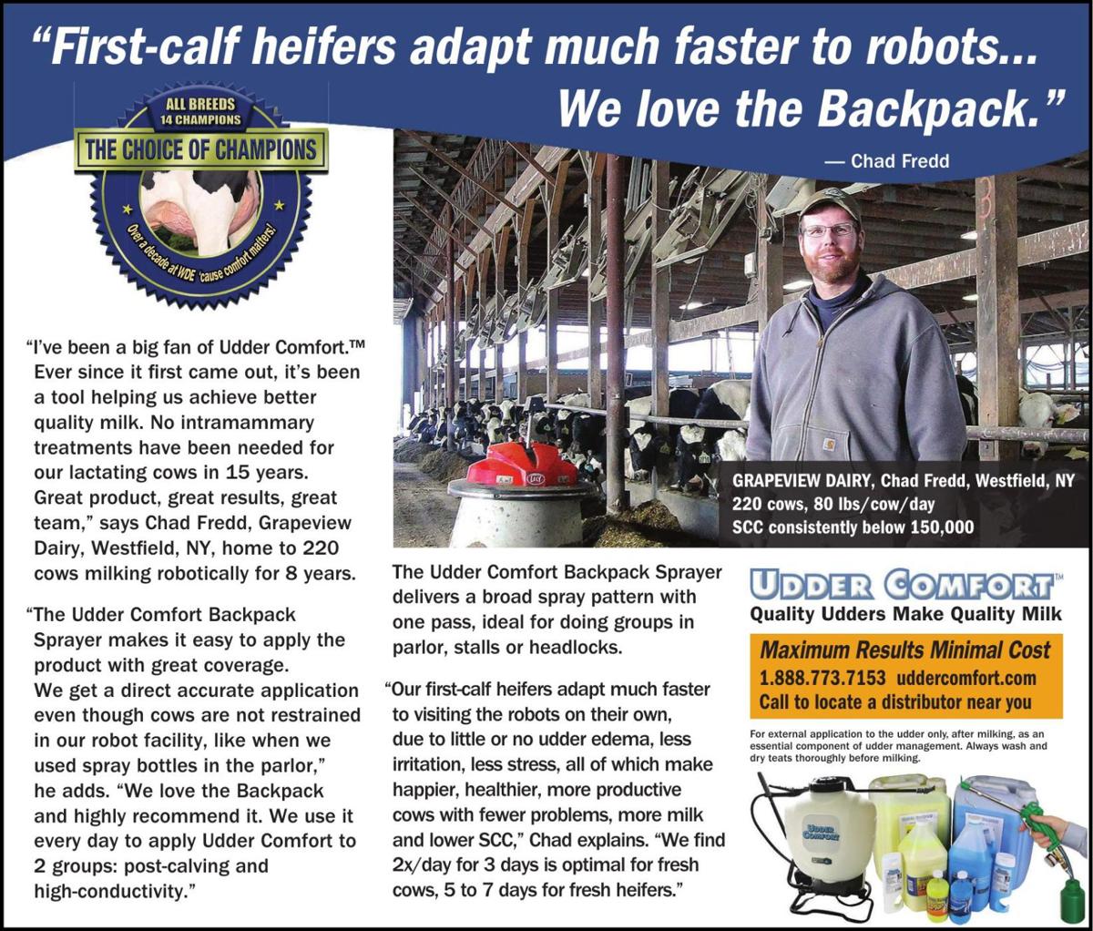 698 1 Pdf Ad Vault Madison Com