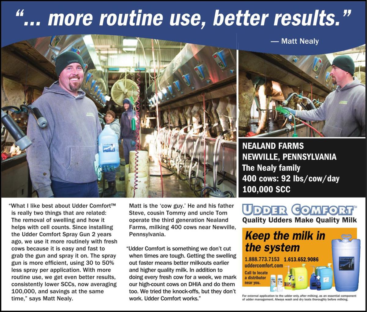 3805791 Pdf Ad Vault Madison Com