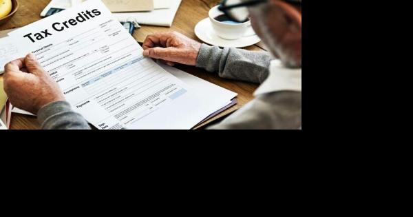 IRS Encourages Companies to Participate in New Voluntary Disclosure Program for ERC Compliance - Vimarsana News