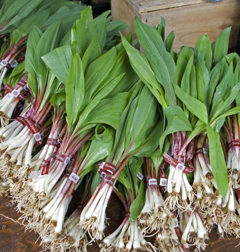 In Season: Ramps
