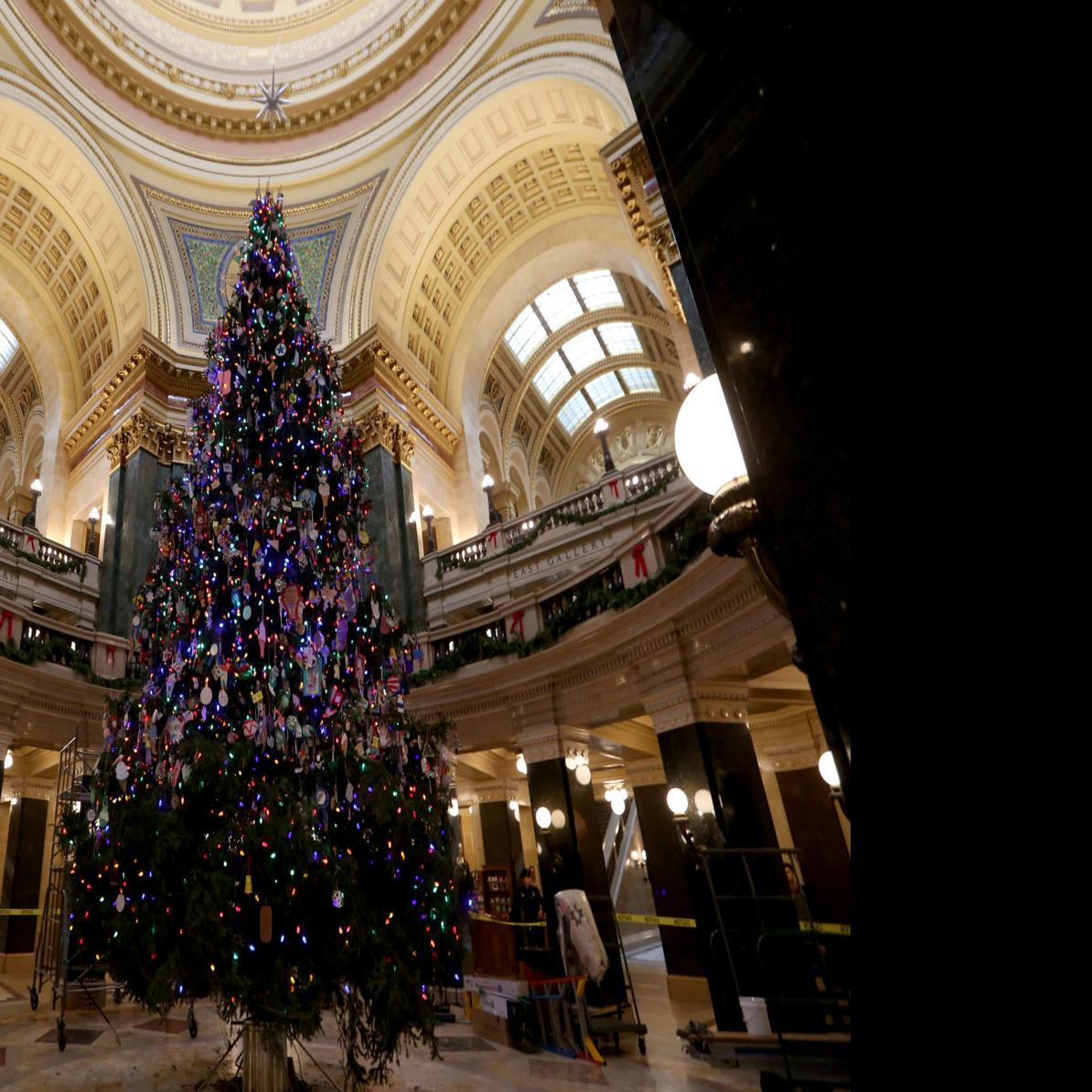 Wisconsin State Christmas Tree 2022 Gov. Tony Evers: No Christmas Tree In State Capitol This Year Due To  Covid-19 Pandemic | Local Government | Madison.com