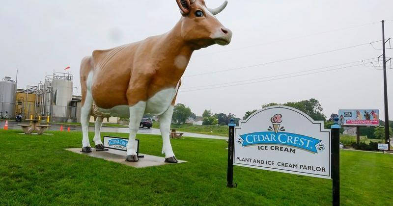 Oberweis Dairy owner buys Wisconsin's Cedar Crest Ice Cream Patti Zarling Manitowoc Herald Times Reporter Jun 17, 2026 59 mins ago