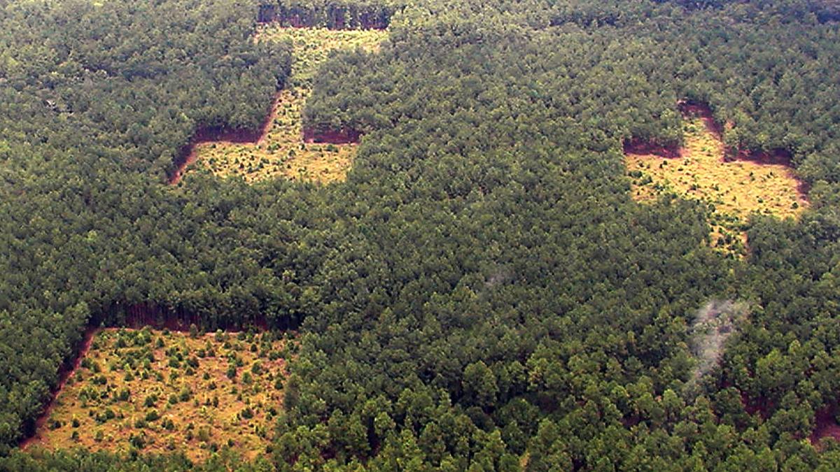 Savannah River Site aerial