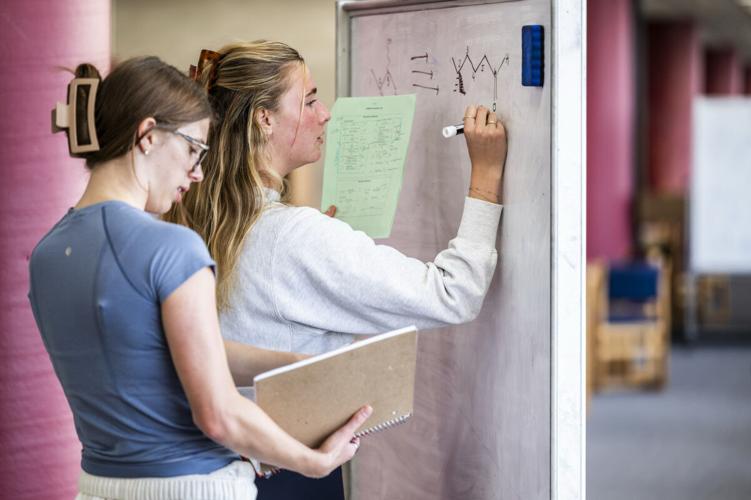 3 things you didn’t know about tutoring at UW–Madison