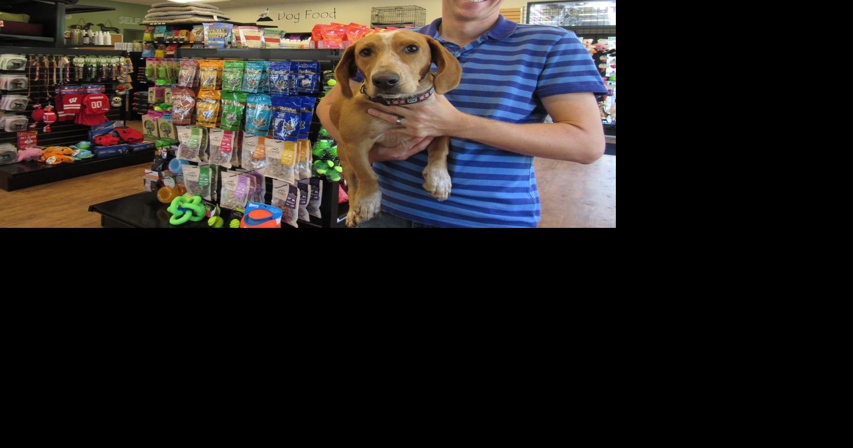 animal store madison wi