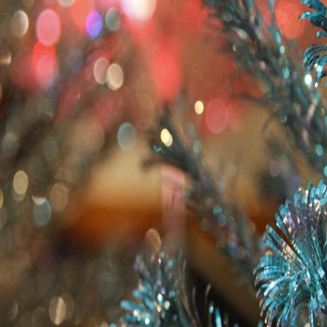 Museum S Evergleam Christmas Trees Have A Special Nostalgic Sparkle Local News Madison Com