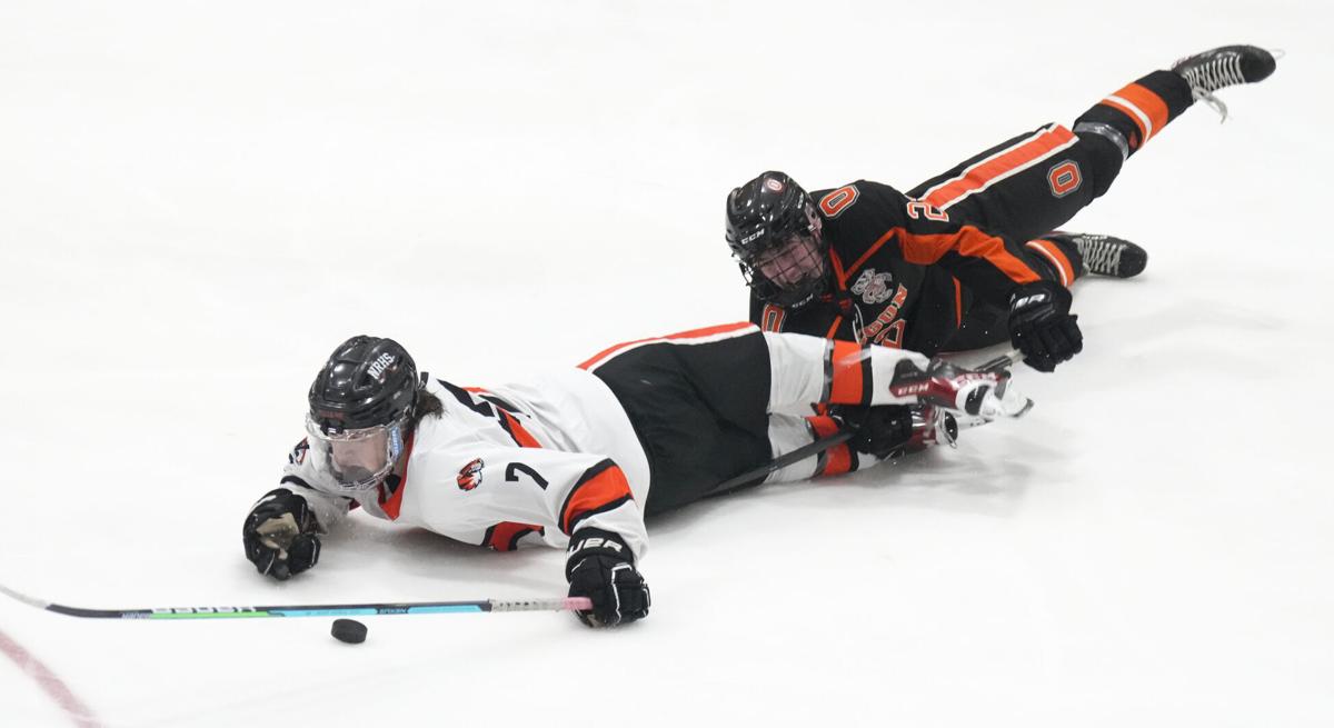 WIAA relocates state high school boys, girls hockey tournaments to Bob  Suter's Capitol Ice Arena in Middleton