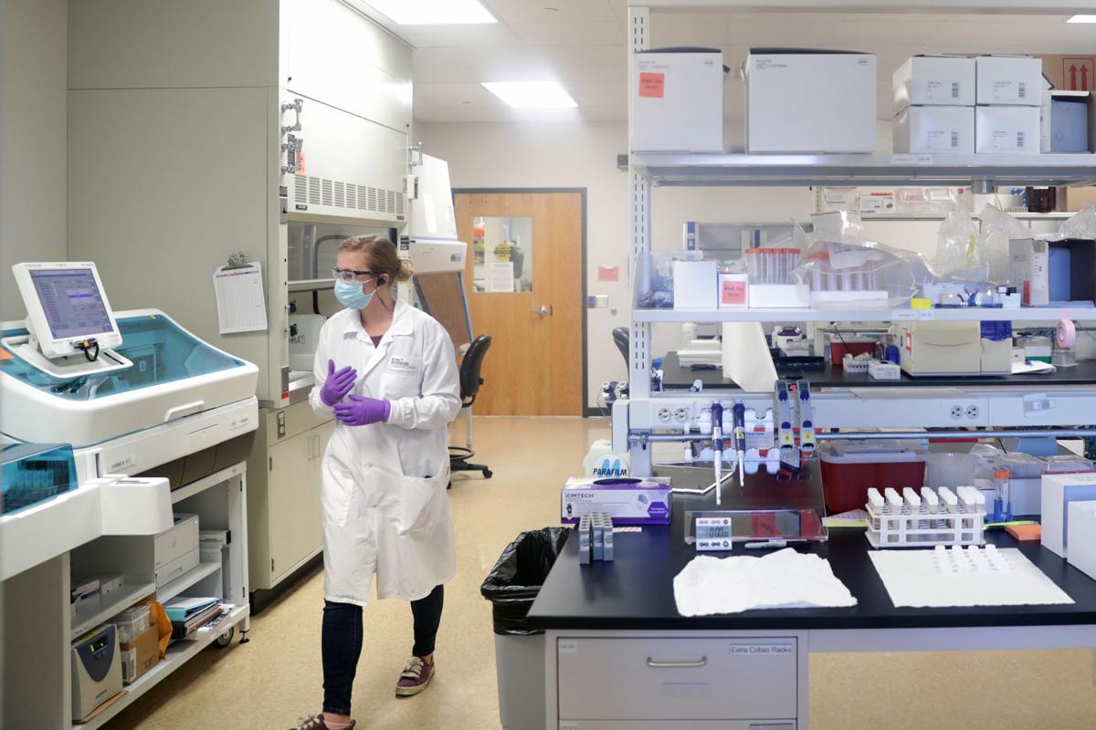 Riehl processing samples