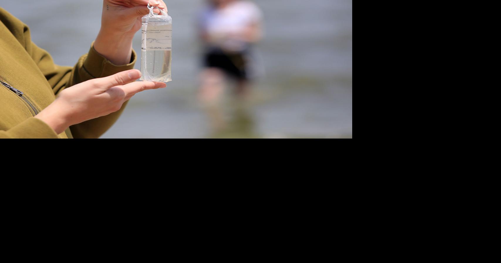 Madison will start rapid testing at beaches for blue-green algae