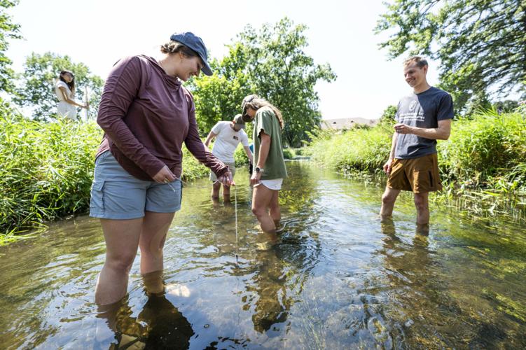 Testing the waters: Conservation students learn by doing