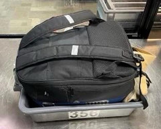 Dog sent through Xray screener in backpack at Dane County airport