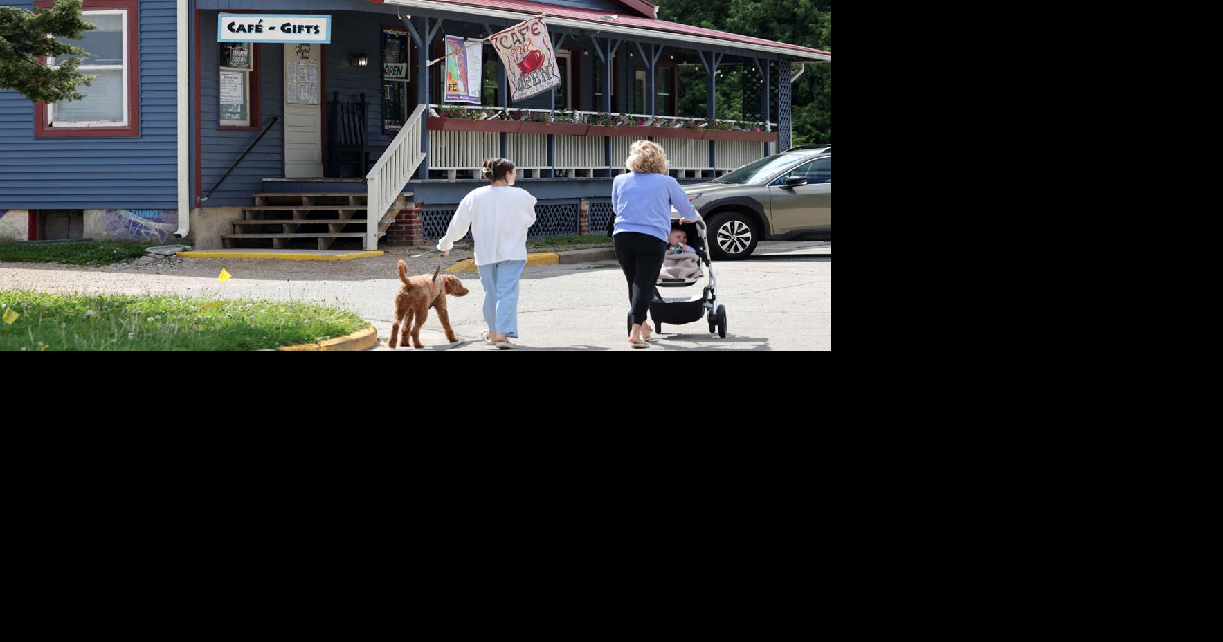 Spring Green General Store up for sale, complete with soup, puzzles and music