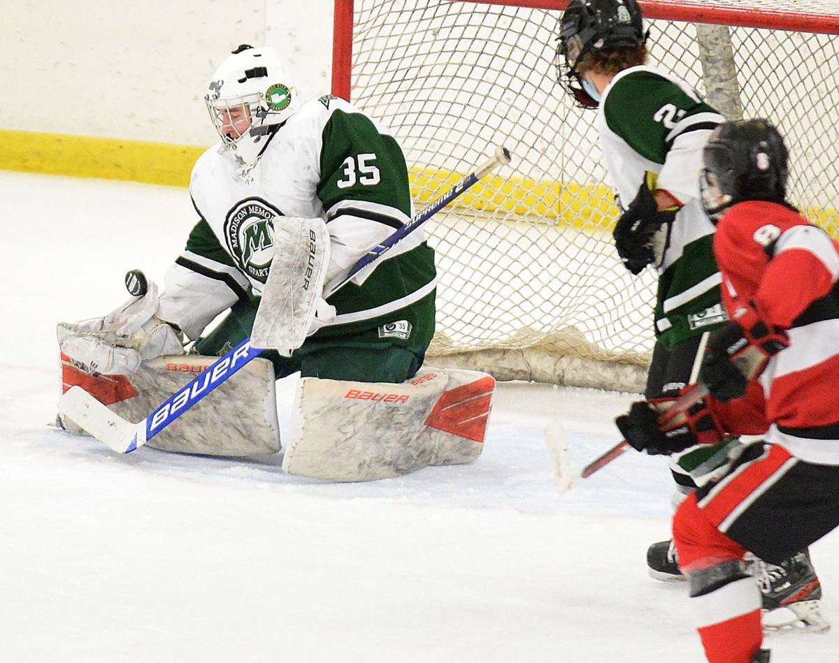 hockey photo 2