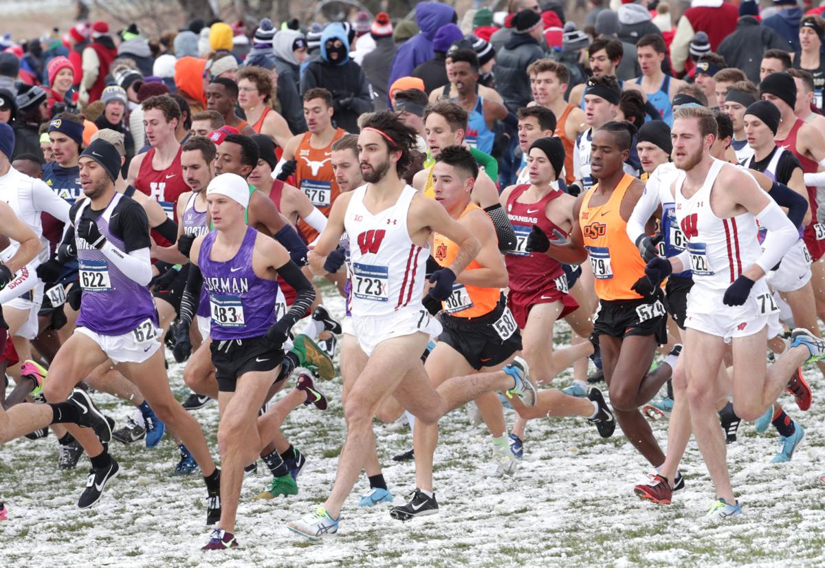 NCAA cross country