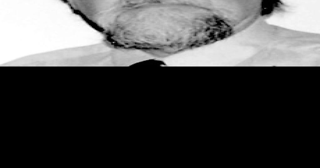 Reynolds, Lyman Edward Jr.