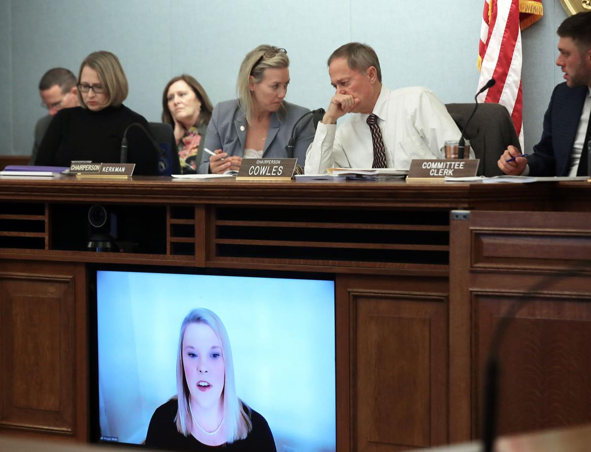 Elections Commission Hearing