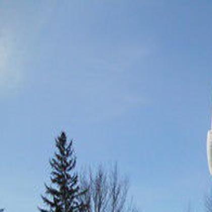 Winter Is Alive Lights Up Madison With Art About Climate Change Arts And Theater Madison Com