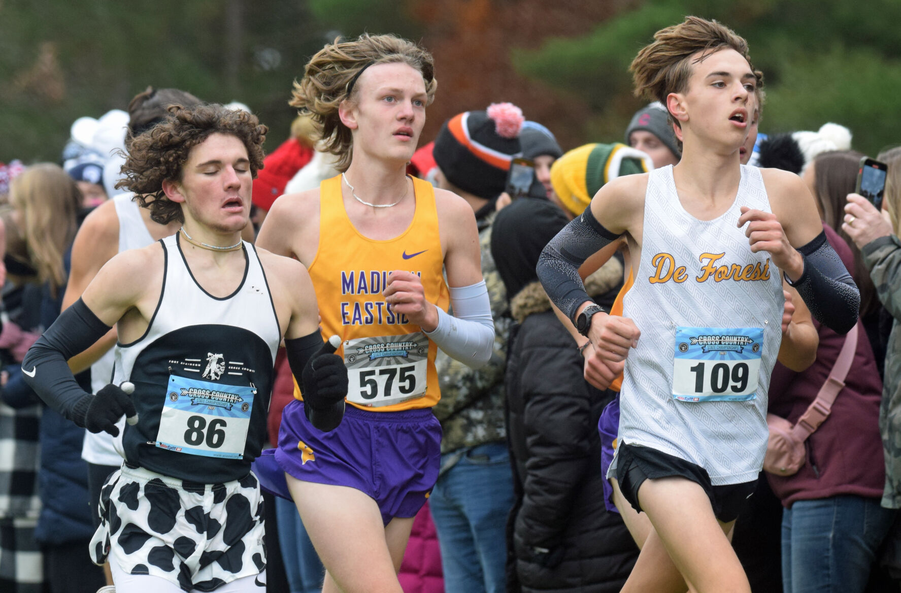Harvard recruit leads Mount Horeb at state cross country