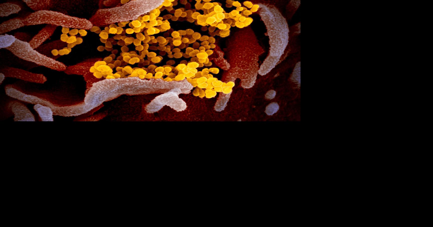 First Wisconsin child under 10 dies from COVID-19, hospital says - Lake Geneva Regional News