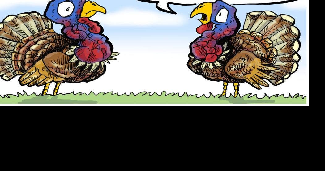Turkeys talk election in this week's You Toon contest