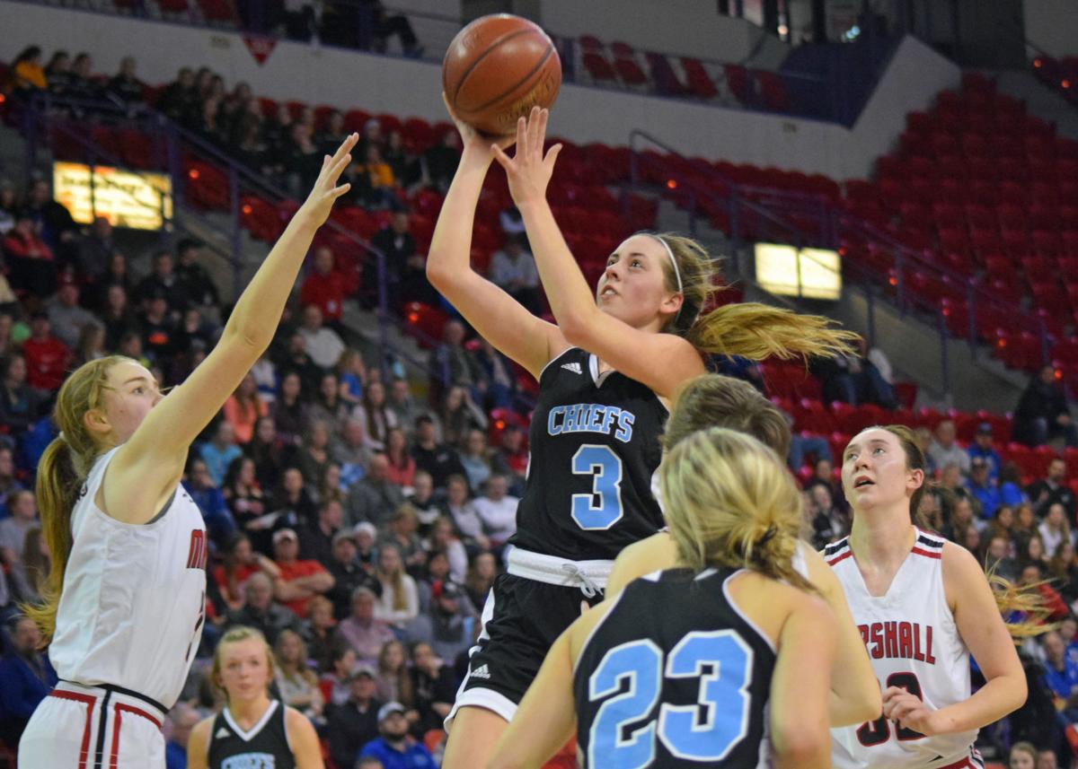 Wisconsin Dells Marshall Girls Basketball Teams Savor State