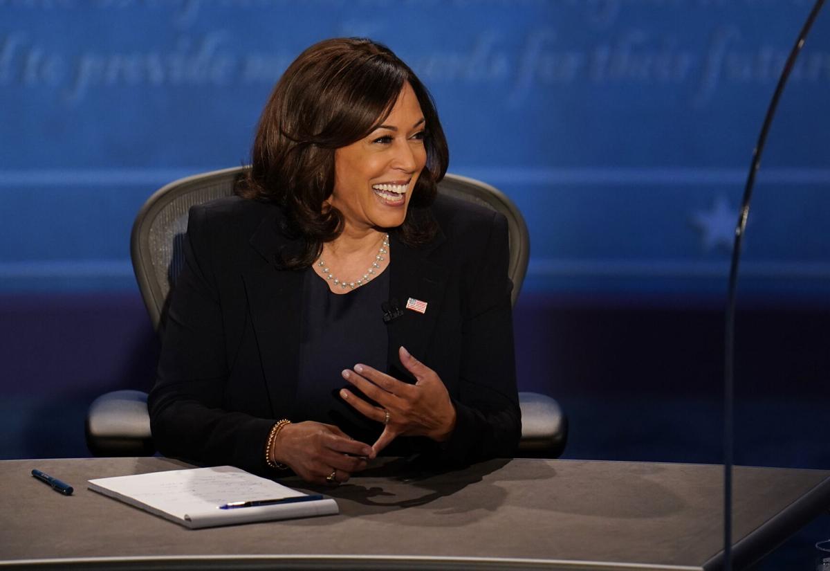 The Biden Campaign Started Selling Fly Swatters Right After The Debate They Ve Already Sold Out National News Madison Com