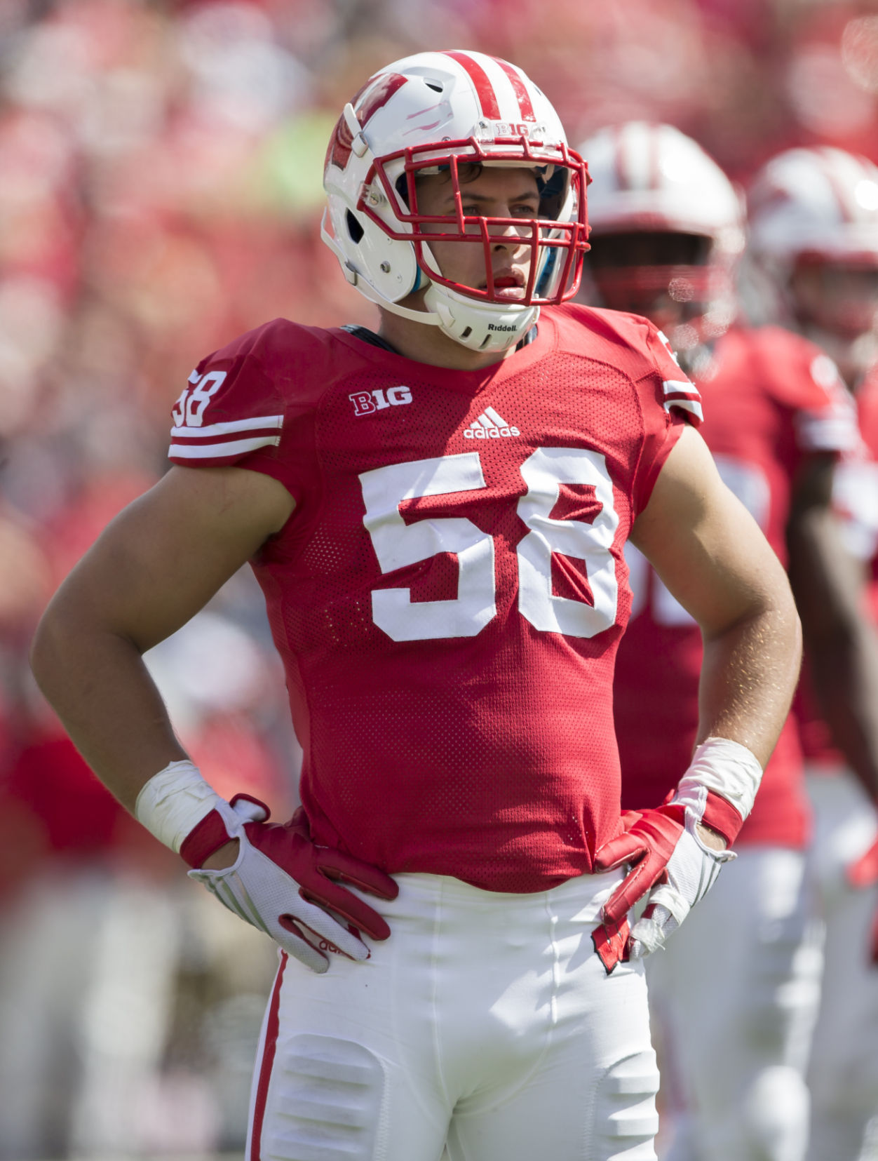 Joe Schobert NFL Jersey Joe Schobert NFL Jersey