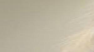 Summit Credit Union S Kim Sponem Named To Chicago Fed Panel Business News Madison Com