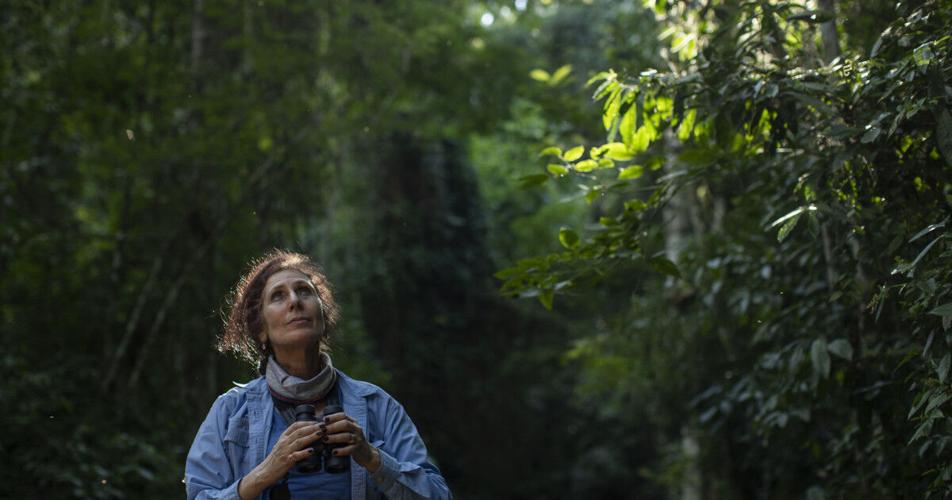Primatologist Karen Strier elected to the American Philosophical Society