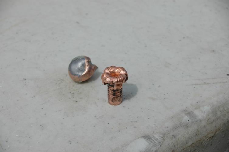 Eisele Are nontoxic copper bullets better than lead?