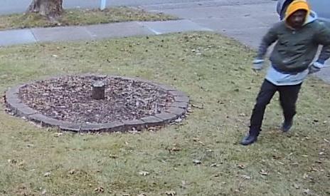 Porch Pirate Caught On Video Madison Police Say Crime News Madison Com