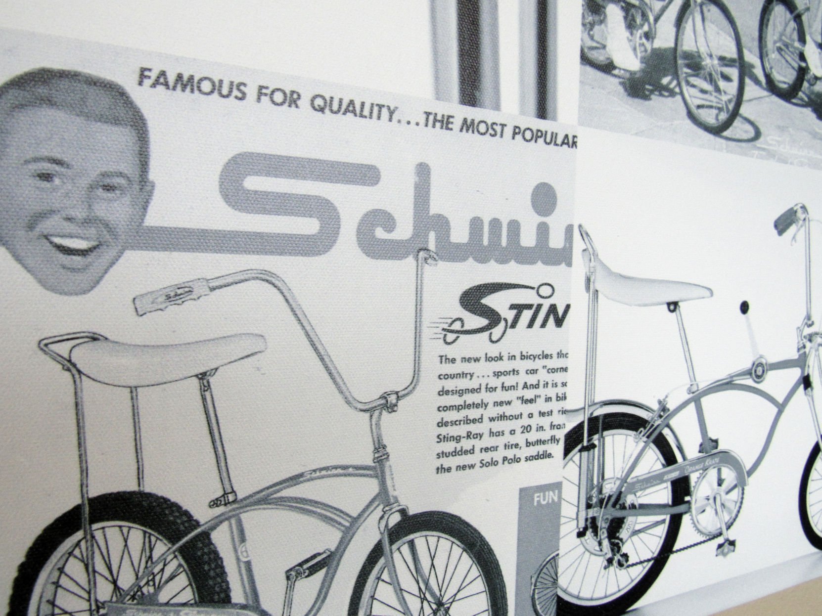 Schwinn discount hammersley review