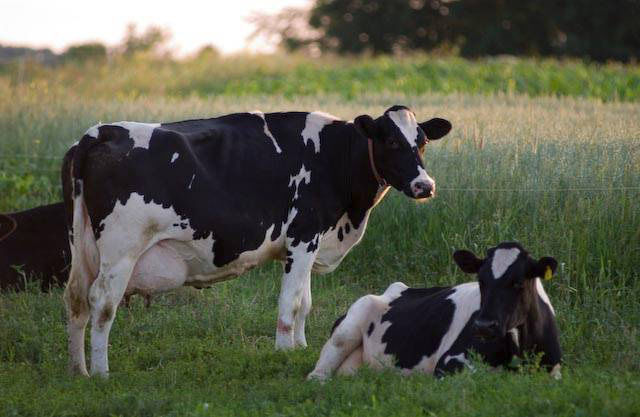 Agriculture