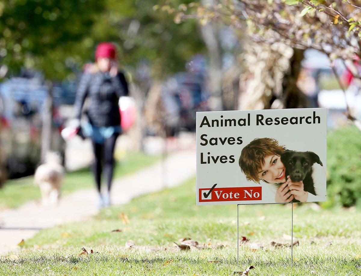 Mount Horeb Referendum